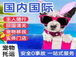 长海机场邮寄国际宠物托运 【国